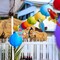 6 Pieces Hawaiian Tropical Parrot Bird Honeycomb Hanging Party Decorations, Summer Tiki Bar Party Decor, Rainforest Decorations Garden Yard Room Decor